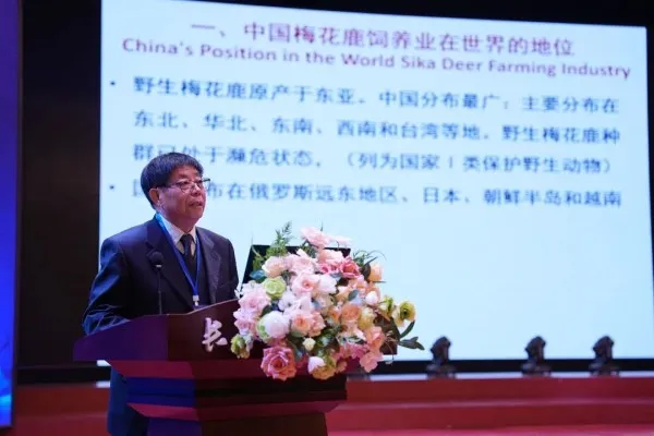 Ян Фухе, президент оленеводческого отделения Национальной ассоциации животноводства, выступил с докладом на тему "Состояние и перспективы развития пятнистого оленеводства в Китае".