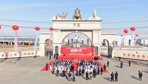 Церемония открытия Цзилиньского научно-исследовательского института пятнистого оленеводства