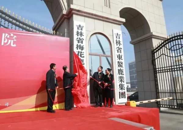 Чжан Гохуа, Ма Гочэн, Сун Иньчжуо и Ван Яньмэй совместно работают в качестве научно-исследовательского института
Создание и обнародование